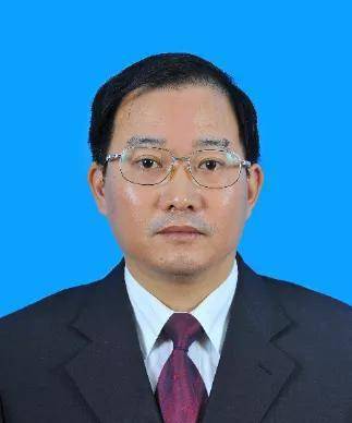 Prof. Xiaoyan Han